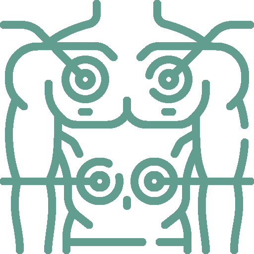 icon service three
